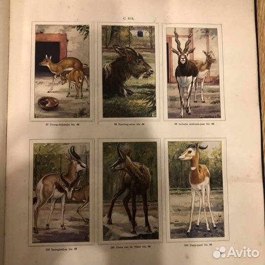 Книга старинная