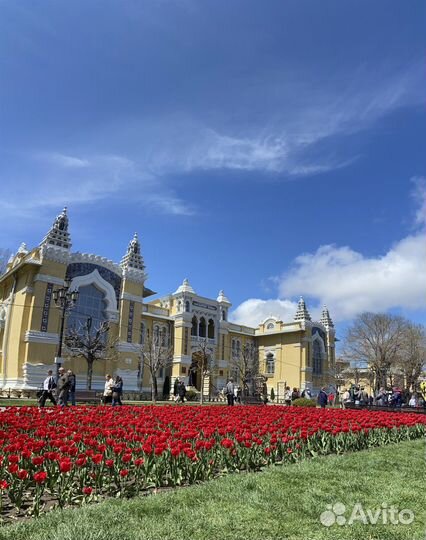 Гид экскурсовод