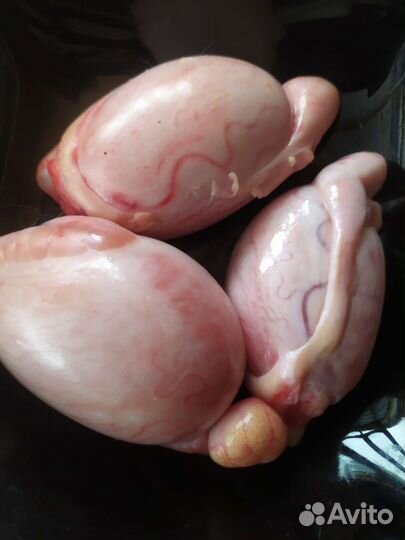 Семенники бараньи для собак