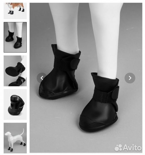 Резиновые сапожки для собак
