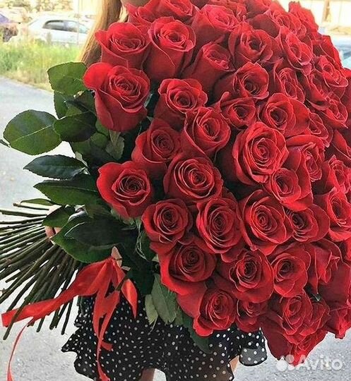 Розы высокие Доставка цветов