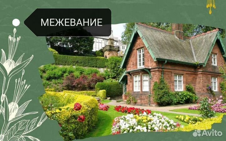 Межевание, Технические планы, Технические паспорта