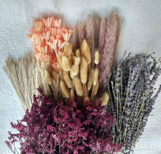 Сухоцветы оптом