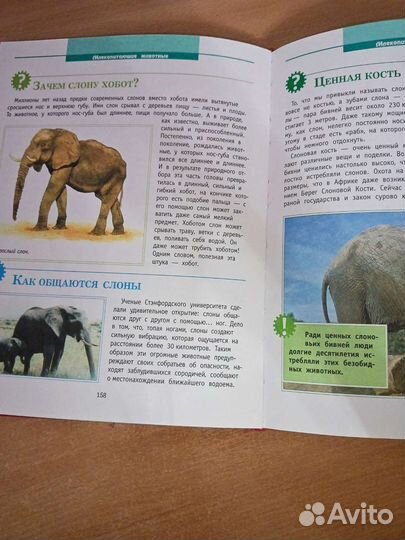 Детская энциклопедия