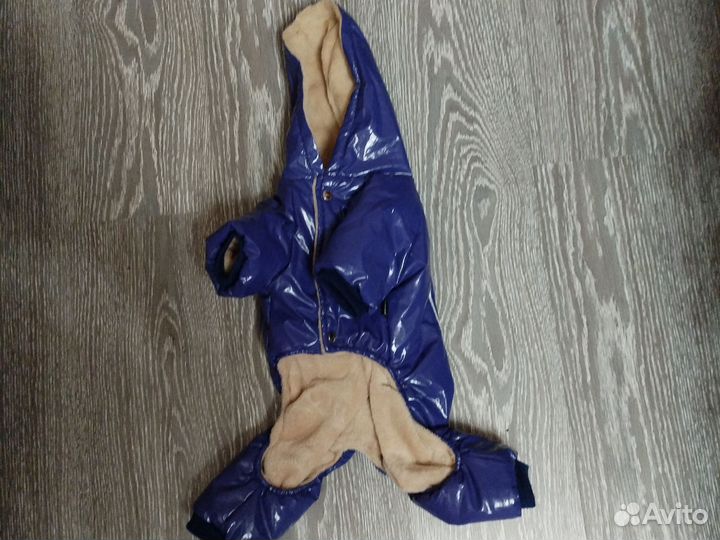 Куртки для маленькой собаки