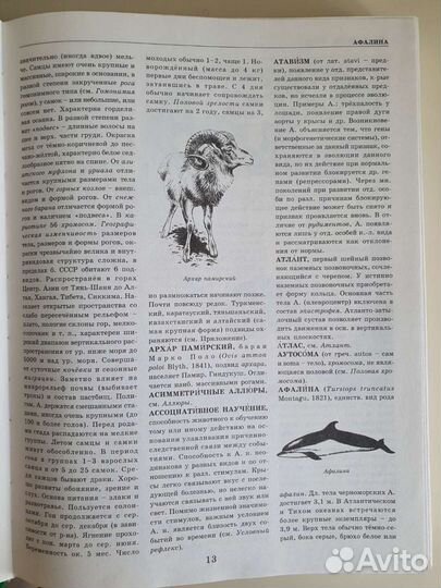 Большой словарь Млекопитающие