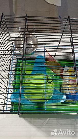 Клетка для грызунов inter-ZOO