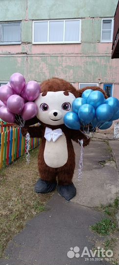 Поздравление от ростовых кукол. Медведь, Ушастик