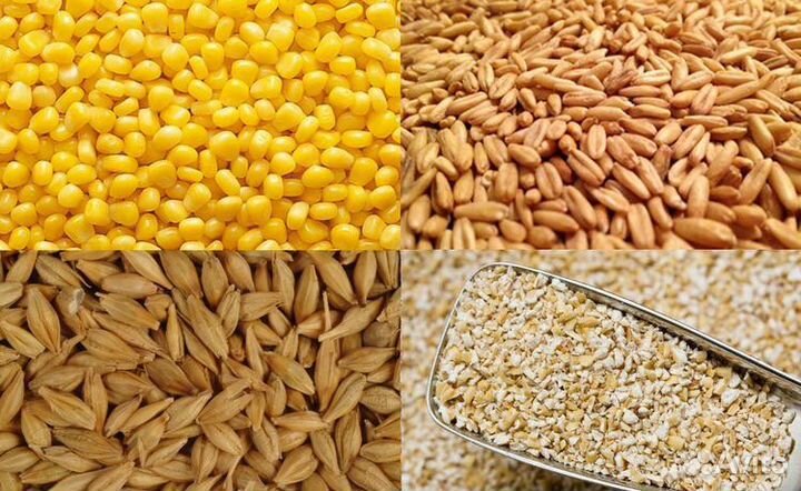 Зерно оптом Череповец