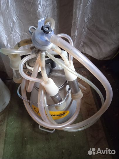 Доильный аппарат для коров