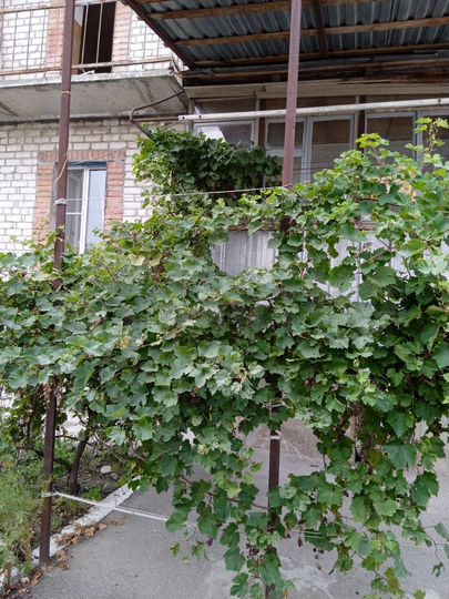 3-к. квартира, 59,7 м², 1/5 эт.