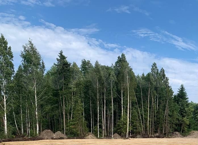 Участок 24 сот. (СНТ, ДНП)