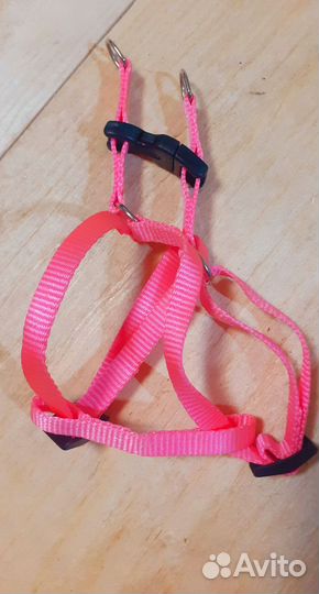 Строгий ошейник, кожаный ошейник, поводок кожа