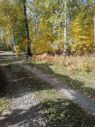 Участок 10 сот. (СНТ, ДНП)