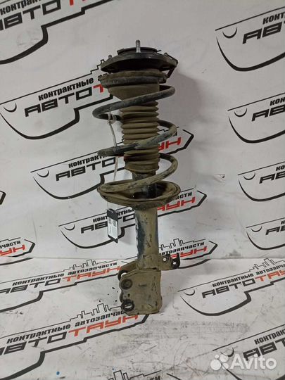 Стойка ходовки toyota avensis AZT250 AZT250W AZT25