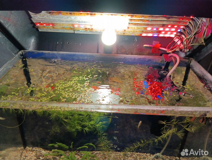 Аквариум