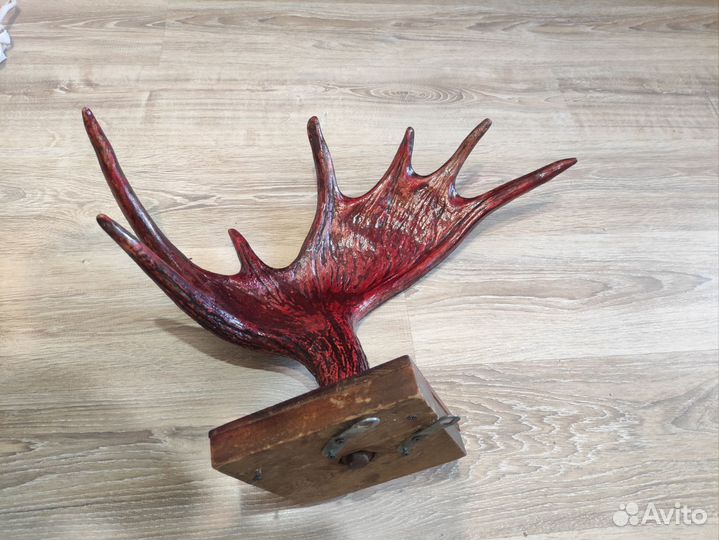 Рога лося оленя