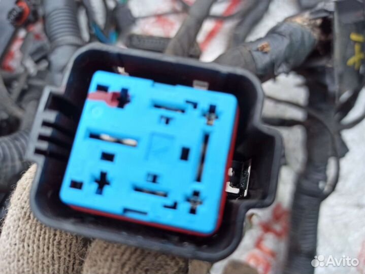 Проводка подкапотная kia sorento 2 xm