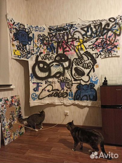 Огромная футболка (сувенир/артефакт)