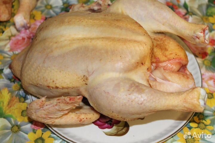 Мясо домашнего бройлера