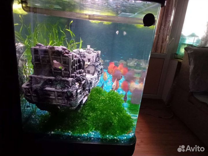 Украшения для аквариума