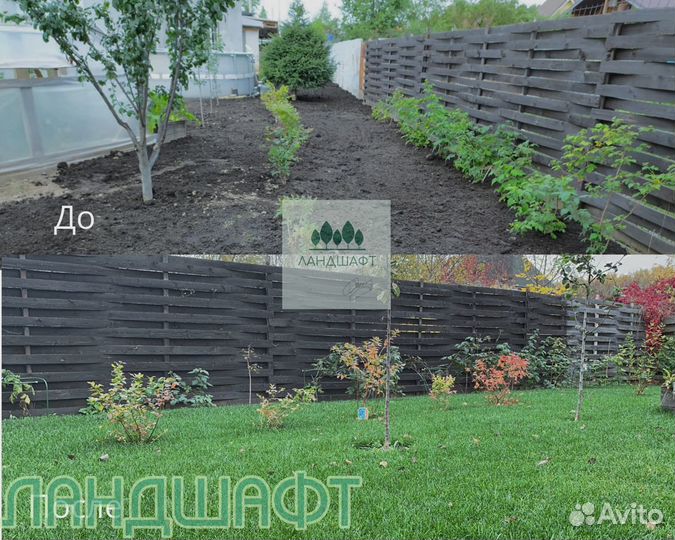 Де люкс рулонный газон от 50м2 мо