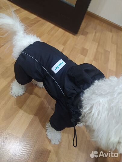 Комбинезон - дождевик для собак