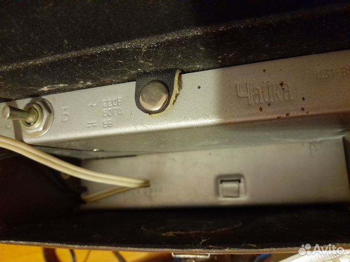 Фотовспышка чайка