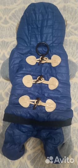 Комбинезон для средней собаки