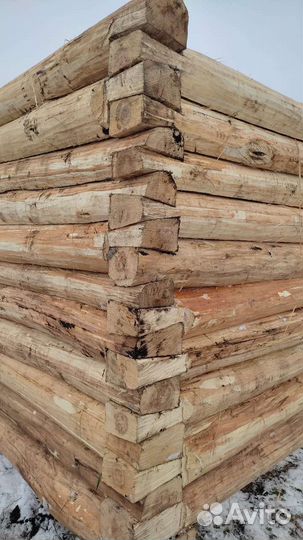 Принимаем заказы на срубы