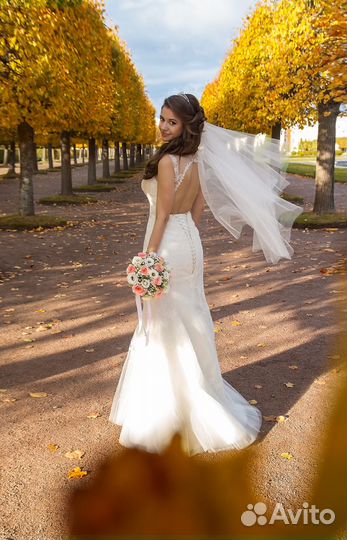 Фотограф, видеооператор