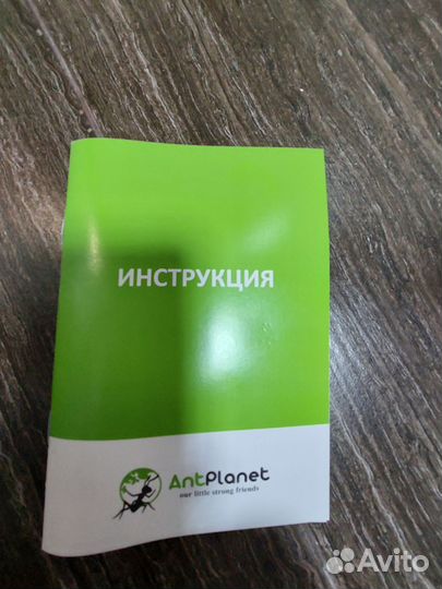 Муравьиная ферма без муравьев