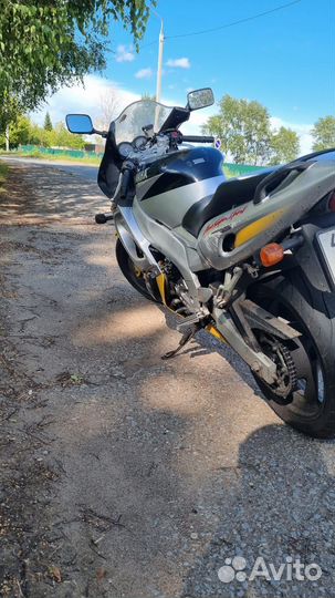 Yamaha YZF 600 R Thundercat