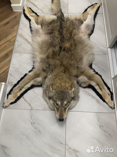 Шкура Волка Большая