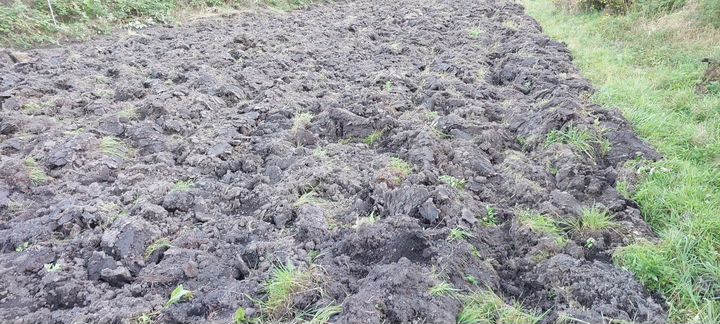 Участок 12 сот. (СНТ, ДНП)