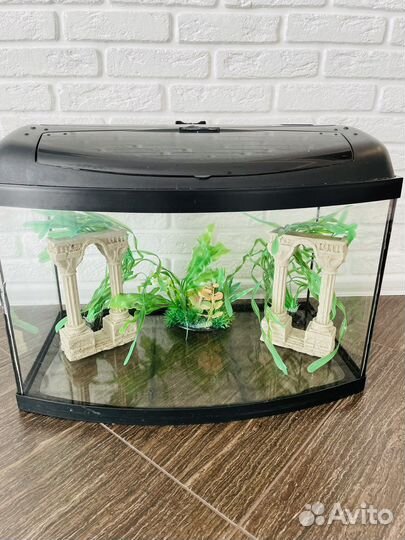 Аквариум с декором