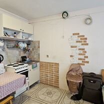 Квартира-студия, 24,3 м², 1/12 эт.