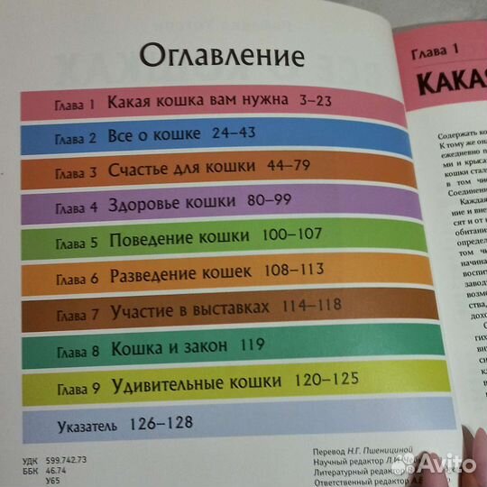 Интересная книга про кошек