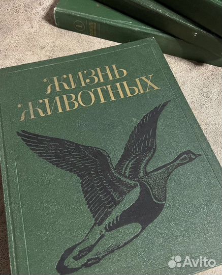 Жизнь животных 6 томов, Энциклопедия