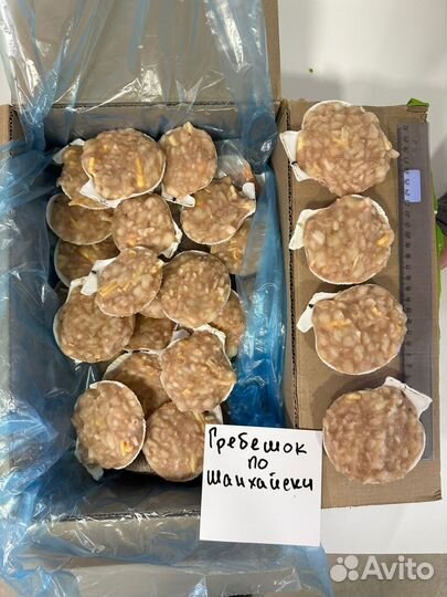 Морской гребешок в ассортименте