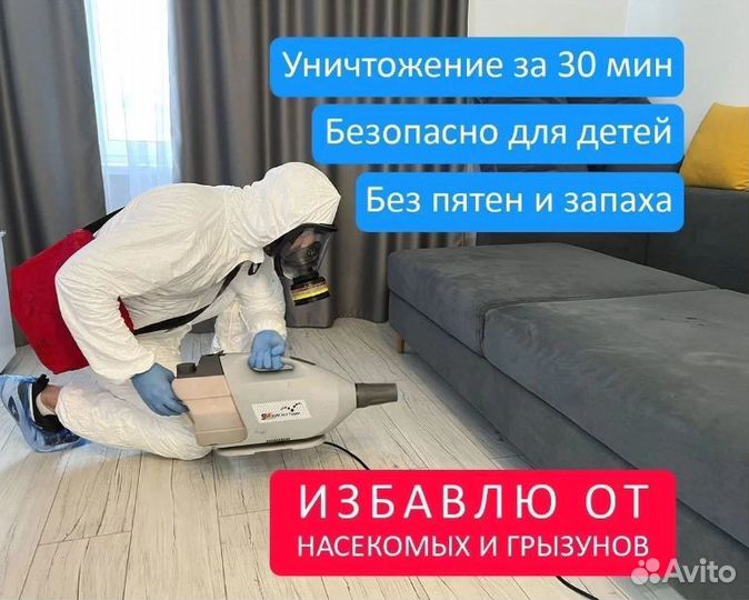 Уничтожение тараканов клопов запахов дезинфекция