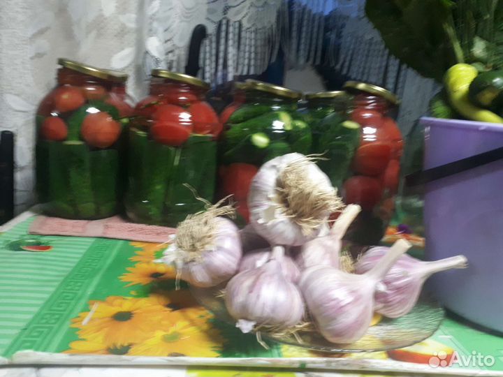 Свежие огурчики чесночок все с огорода