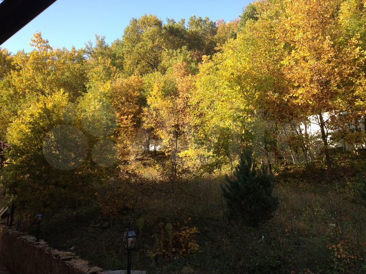 Дом 275 м² на участке 100 сот.