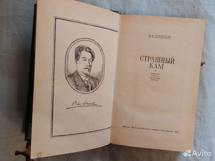 В. Я. Шишков. страшный кам