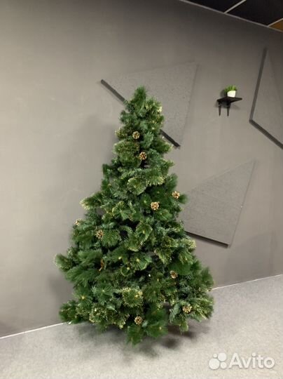 Комнатные растения цветы большие