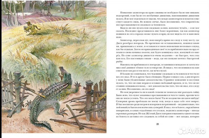 Оцеола, вождь семинолов. Повесть о Стране Цветов