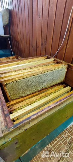 Мед со своей пасеки