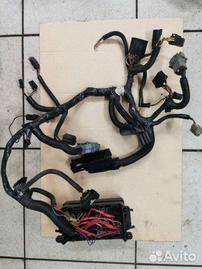 Жгут проводов brp mxz renegade 1000 h o