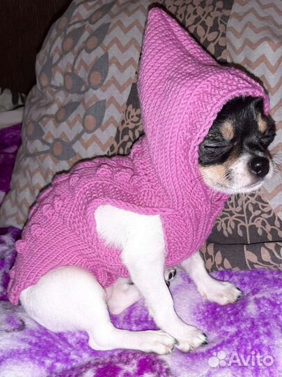 Товары для домашних животных