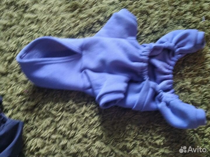 Одежда для собак